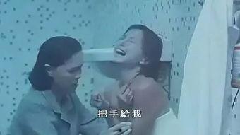 女同国产,揭秘全球女性同性恋文化的独特魅力